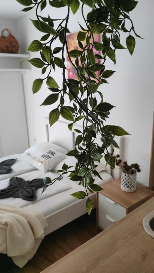 Super Cozy & Central Apartment Budapest Bagian luar foto
